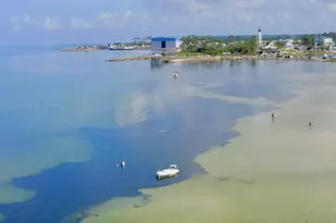 1506 Long Ave, Port Saint Joe, FL 32456 - Photo 26