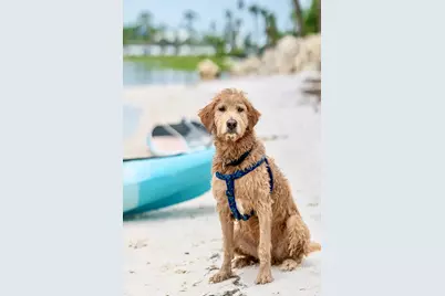 1506 Long Ave, Port Saint Joe, FL 32456 - Photo 28