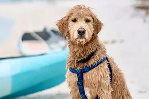 1506 Long Ave, Port Saint Joe, FL 32456 - Photo 28