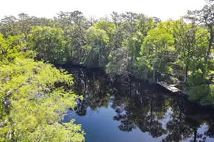 38 E M Davis Dr, Sopchoppy, FL 32358 - Photo 8