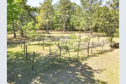 38 E M Davis Dr, Sopchoppy, FL 32358 - Photo 44