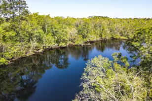 38 E M Davis Dr, Sopchoppy, FL 32358 - Photo 42