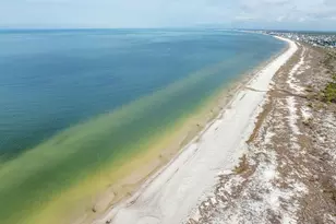 731 Backwater Rd, Port Saint Joe, FL 32456 - Photo 78