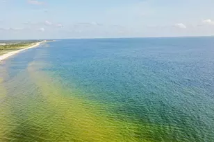 7016 Americus Ave, Port Saint Joe, FL 32456 - Photo 44