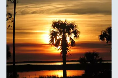 113 Mosaic Dr, Port Saint Joe, FL 32456 - Photo 46