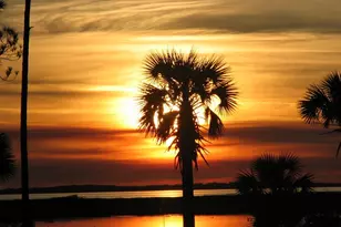 113 Mosaic Dr, Port Saint Joe, FL 32456 - Photo 46