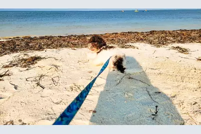 110 Falling Star Way, Port Saint Joe, FL 32456 - Photo 72