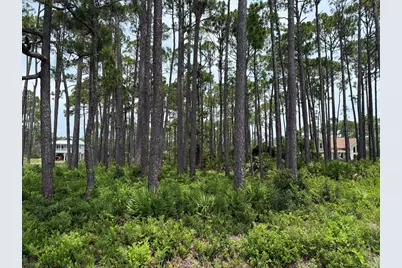1431 Hwy 98, Eastpoint, FL 32328 - Photo 14