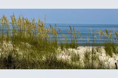 872 E Gorrie Dr, Saint George Island, FL 32328 - Photo 8