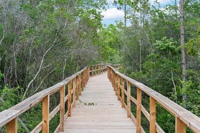 292 Cove Lane, Port Saint Joe, FL 32456 - Photo 74