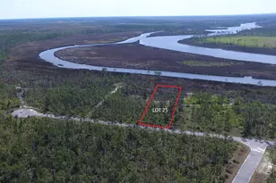 00 E Marsh Line Rd, Wewahitchka, FL 32465 - Photo 1