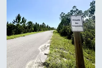 00 E Marsh Line Rd, Wewahitchka, FL 32465 - Photo 4