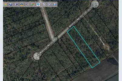 00 E Marsh Line Rd, Wewahitchka, FL 32465 - Photo 6