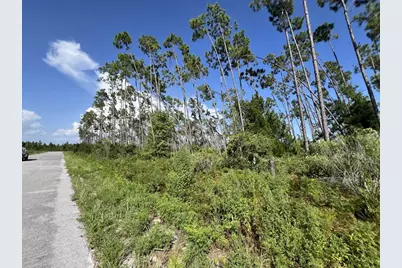 00 E Marsh Line Rd, Wewahitchka, FL 32465 - Photo 2