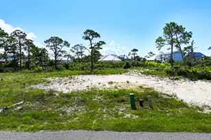 Lot 7 McCosh Mill Rd, Cape San Blas, FL 32456 - Photo 1