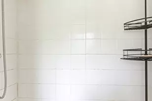 174 Audubon Ln, Wewahitchka, FL 32465 - Photo 16