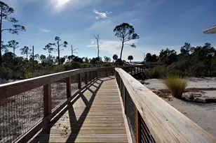 296 Sea Grv Wy, Port Saint Joe, FL 32456 - Photo 12