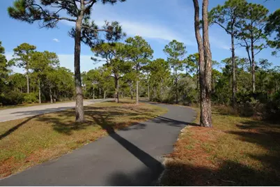 1740 Lilac Ln, Saint George Island, FL 32328 - Photo 52