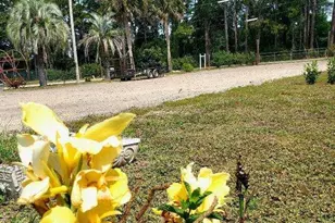 2390 Oak St, Lanark Village, FL 32322 - Photo 60