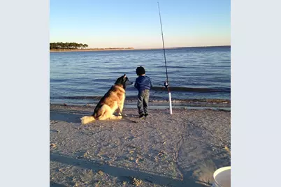 1580 Indian Pass Rd, Port Saint Joe, FL 32456 - Photo 44