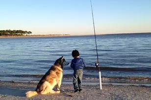 1580 Indian Pass Rd, Port Saint Joe, FL 32456 - Photo 44