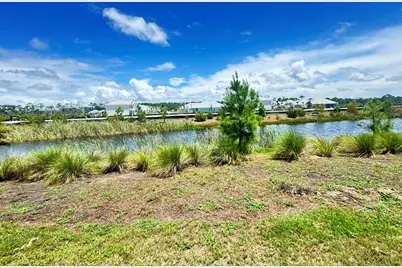 395 Sea Grove Way, Port Saint Joe, FL 32456 - Photo 42