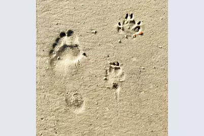 6274 Cape San Blas Rd, Cape San Blas, FL 32456 - Photo 52