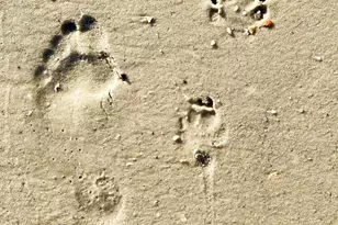 6274 Cape San Blas Rd, Cape San Blas, FL 32456 - Photo 52