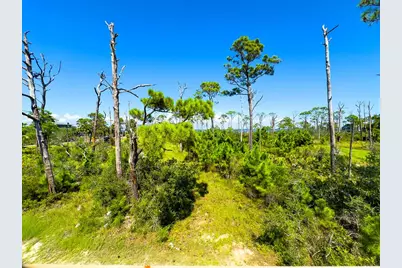 6274 Cape San Blas Rd, Cape San Blas, FL 32456 - Photo 54