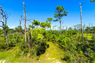 6274 Cape San Blas Rd, Cape San Blas, FL 32456 - Photo 54