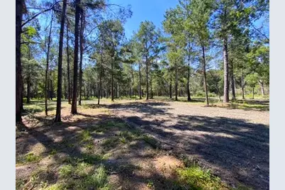 4858 Cr 381, Wewahitchka, FL 32465 - Photo 8