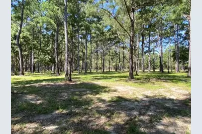 4858 Cr 381, Wewahitchka, FL 32465 - Photo 6