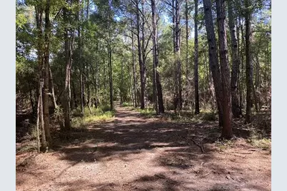 4858 Cr 381, Wewahitchka, FL 32465 - Photo 14