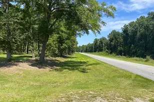 4858 Cr 381, Wewahitchka, FL 32465 - Photo 1