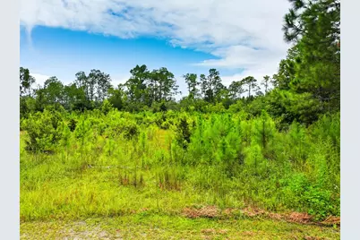 Tbd Sealy Dr, Wewahitchka, FL 32465 - Photo 10