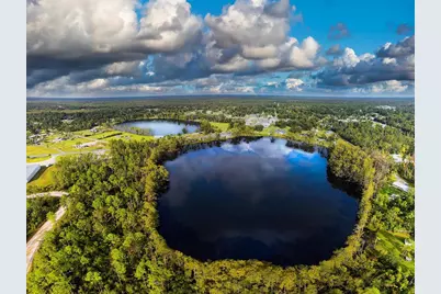 Tbd Sealy Dr, Wewahitchka, FL 32465 - Photo 20