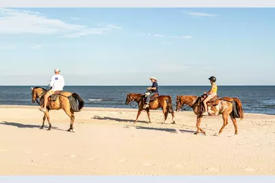 Lot 19 Cord Grass Way, Port Saint Joe, FL 32456 - Photo 16