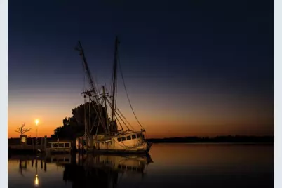 135 Water Oaks Way, Apalachicola, FL 32320 - Photo 6