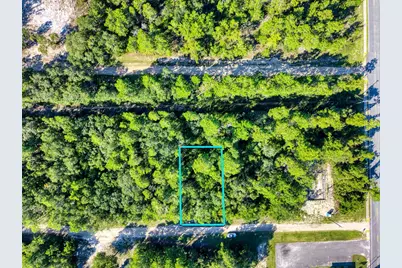 150 Kansas St, Lanark Village, FL 32323 - Photo 4