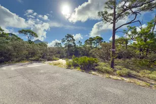 2012 Pelican Ct E, Saint George Island, FL 32328 - Photo 1