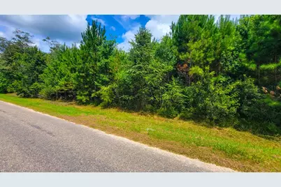 6520 Ganley Rd, Wewahitchka, FL 32465 - Photo 12