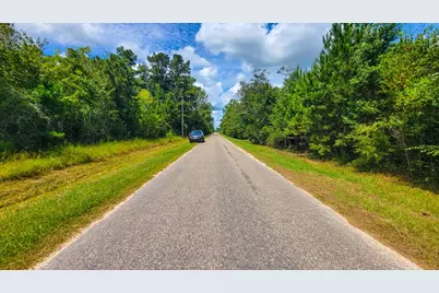 6520 Ganley Rd, Wewahitchka, FL 32465 - Photo 4