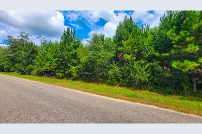 6520 Ganley Rd, Wewahitchka, FL 32465 - Photo 10