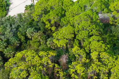 532 W Sawyer St, Saint George Island, FL 32328 - Photo 12