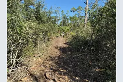 Tbd Cr 30-A, Port Saint Joe, FL 32456 - Photo 8