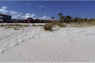 Tbd Cr 30-A, Port Saint Joe, FL 32456 - Photo 6