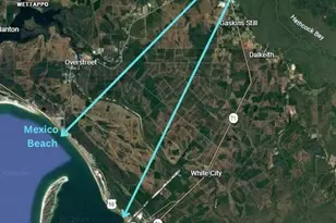 391 Byrd Parker Dr, Wewahitchka, FL 32465 - Photo 26