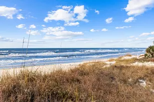 149 Sapodilla Ln, Cape San Blas, FL 32456 - Photo 88