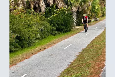 149 Sapodilla Ln, Cape San Blas, FL 32456 - Photo 92