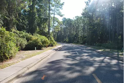 112 Royal Tern Way, Carrabelle, FL 32322 - Photo 4